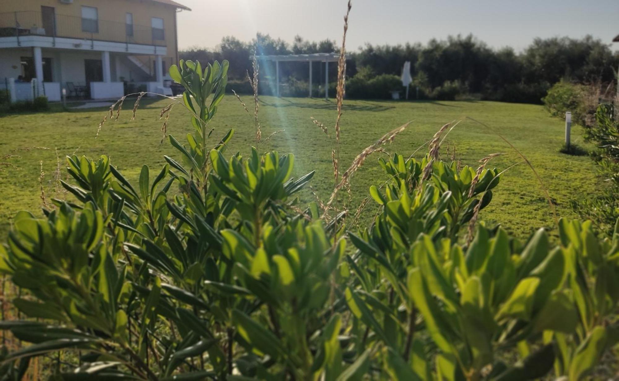 Natura E Mente E Relax Bed & Breakfast *