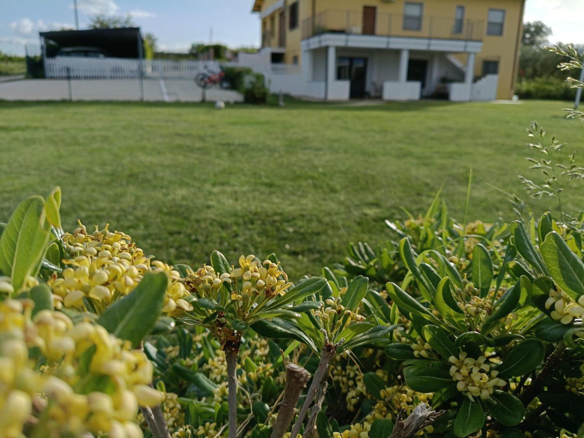 Bed & Breakfast Natura E Mente E Relax Vasto